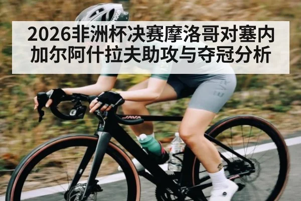 2026非洲杯决赛摩洛哥对塞内加尔阿什拉夫助攻与夺冠分析